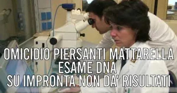 TG +24 edizione 2 Luglio 2026