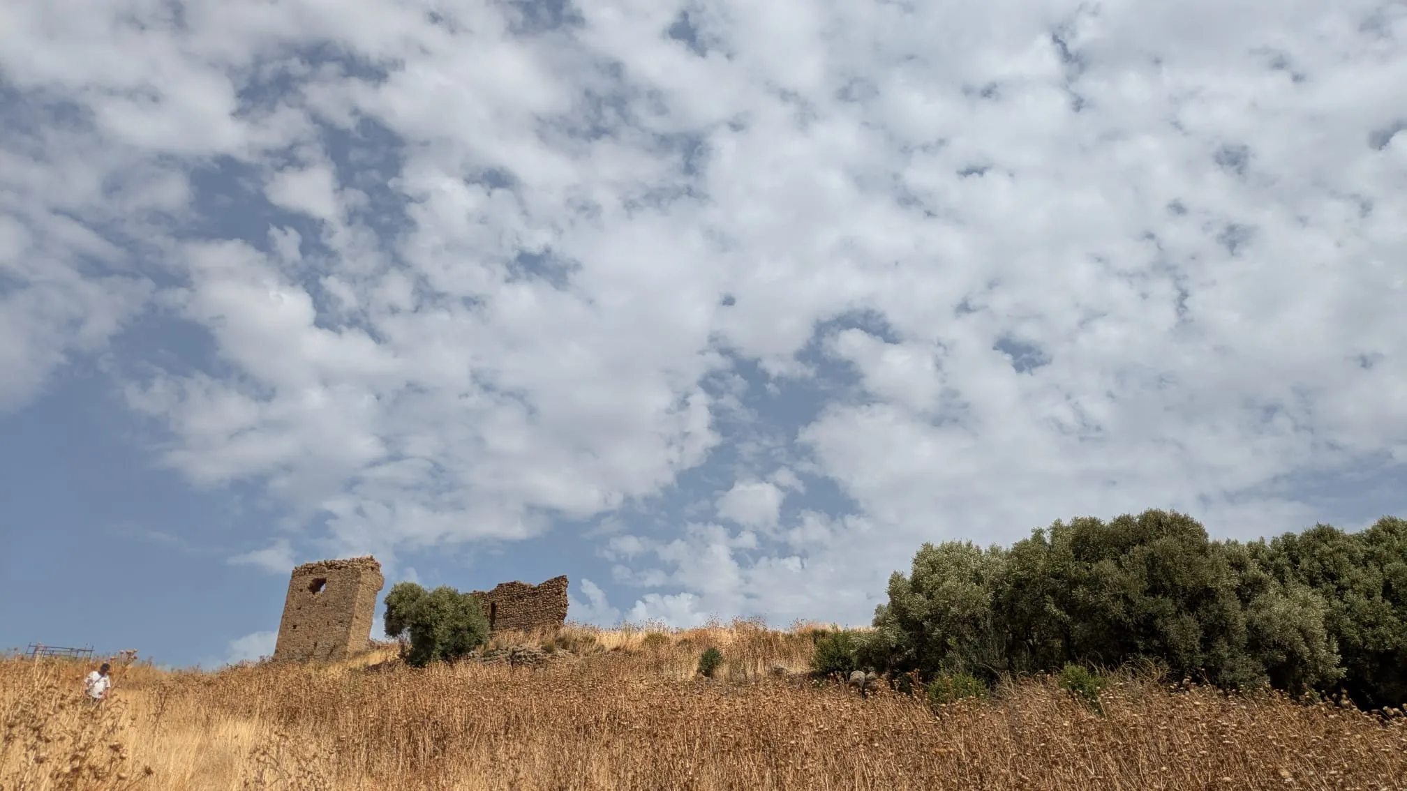 Alla scoperta dell’antica Cencelle: sabato la visita al sito archeologico - TRC Giornale
