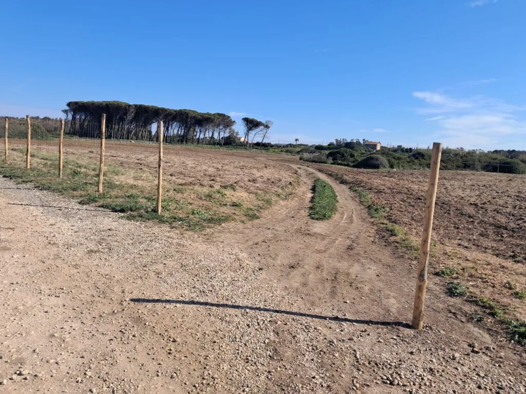 Giornata Mondiale Dell’ambiente: Medov scende in campo per la sostenibilità alla Frasca