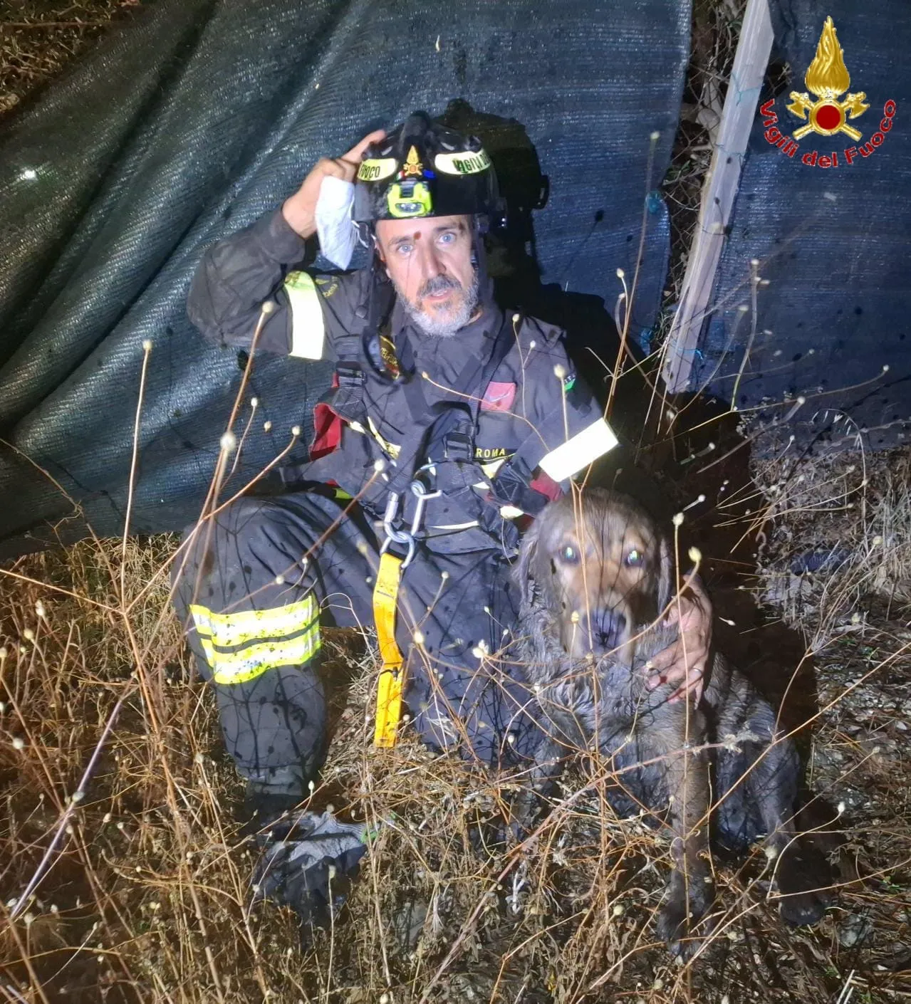 Cane cade in un pozzo, i Vigili del Fuoco lo salvano - TRC Giornale