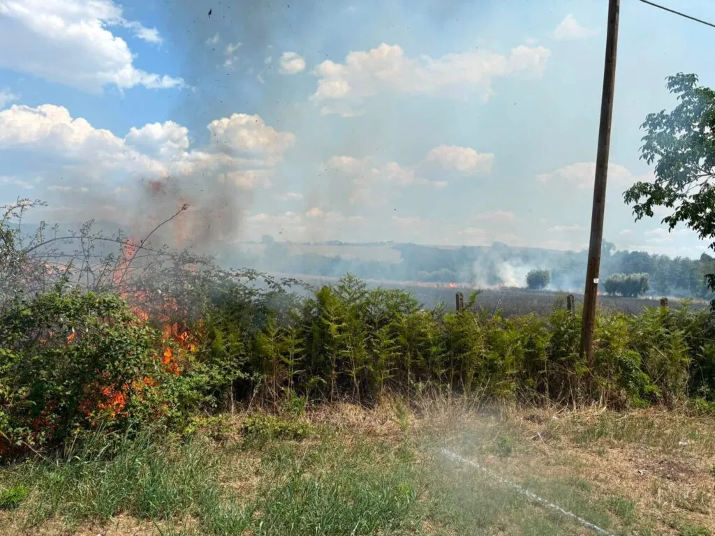 Grosso incendio boschivo a Capena: fiamme vicino alle case e strade chiuse